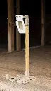 MINI-VITAL-ZONE-REACTIVE-TARGET.webp