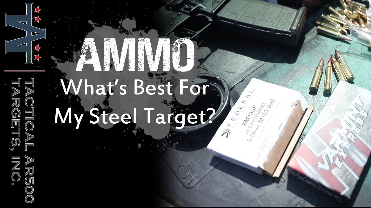 Ammo: What's best for my steel target? 