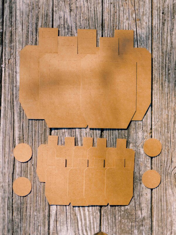 Dry Fire USPSA 18 Pack