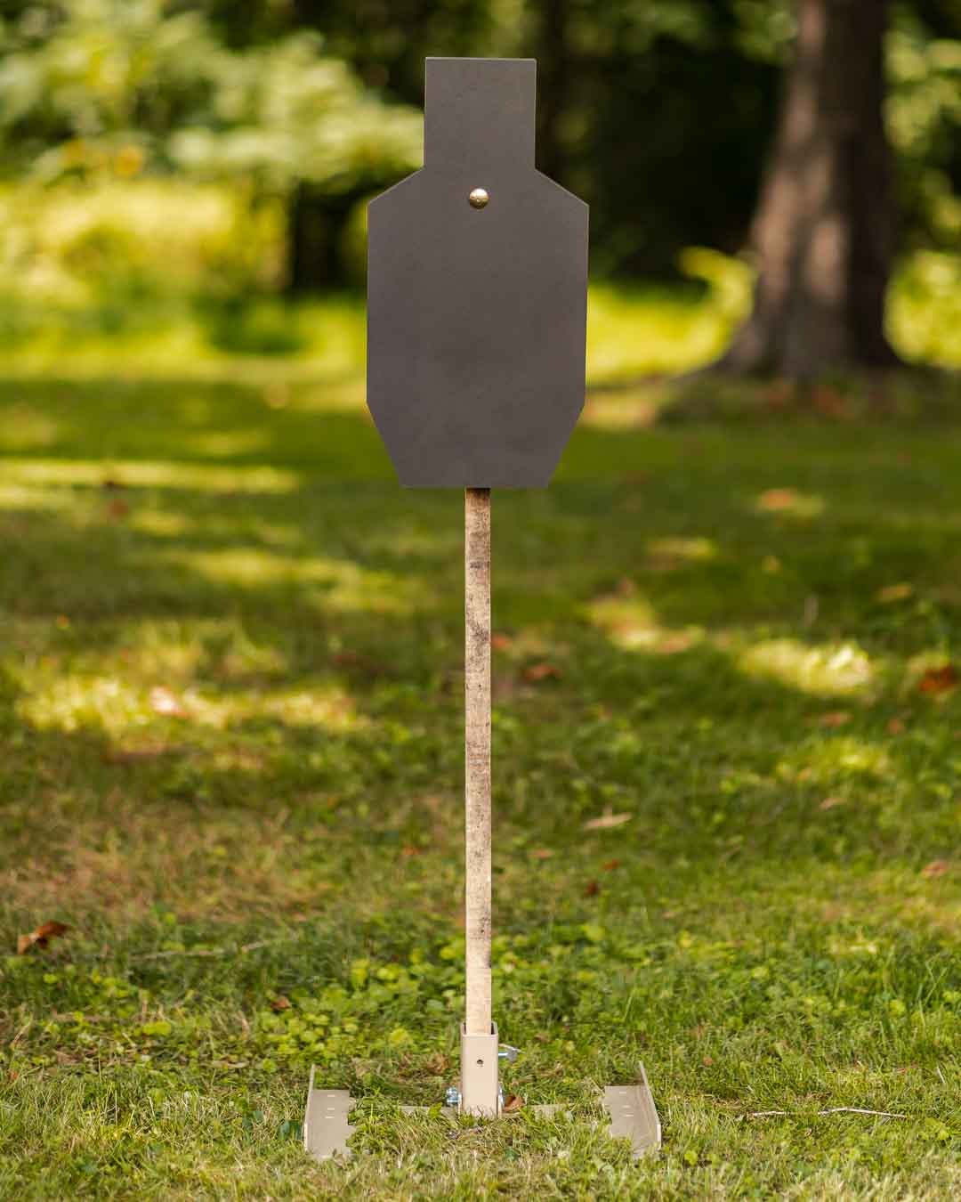 Genesis C Zone Steel Target System